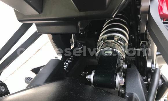 Acheter Occasion Moto Kawasaki Ninja Bleu à Rivière Anglaise, Grand Victoria Acheter Occasion Moto Kawasaki Ninja Bleu à Rivière Anglaise, Grand Victoria