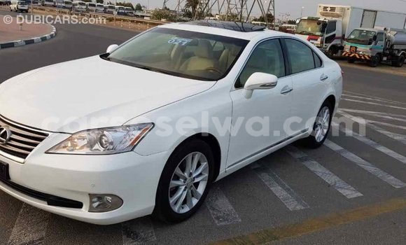 Acheter Import Voiture Lexus ES Blanc à Import - Dubai, East Mahé Acheter Import Voiture Lexus ES Blanc à Import - Dubai, East Mahé