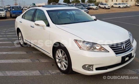 Acheter Import Voiture Lexus ES Blanc à Import - Dubai, East Mahé Acheter Import Voiture Lexus ES Blanc à Import - Dubai, East Mahé