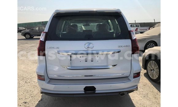 Acheter Import Voiture Lexus GX Blanc à Import - Dubai, East Mahé Acheter Import Voiture Lexus GX Blanc à Import - Dubai, East Mahé