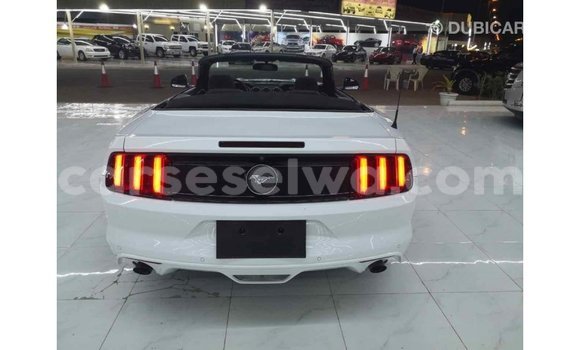 Acheter Import Voiture Ford Mustang Blanc à Import - Dubai, East Mahé Acheter Import Voiture Ford Mustang Blanc à Import - Dubai, East Mahé