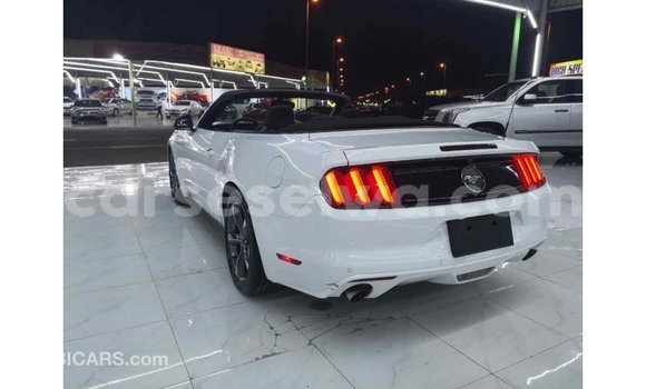 Acheter Import Voiture Ford Mustang Blanc à Import - Dubai, East Mahé Acheter Import Voiture Ford Mustang Blanc à Import - Dubai, East Mahé