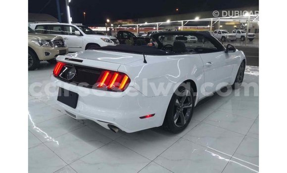 Acheter Import Voiture Ford Mustang Blanc à Import - Dubai, East Mahé Acheter Import Voiture Ford Mustang Blanc à Import - Dubai, East Mahé
