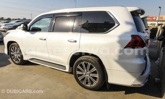 Acheter Import Voiture Lexus LX Blanc à Import - Dubai, East Mahé