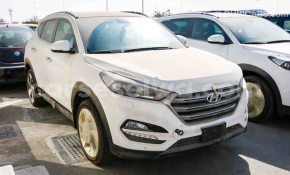 Acheter Import Voiture Hyundai Tucson Blanc à Import - Dubai, East Mahé Acheter Import Voiture Hyundai Tucson Blanc à Import - Dubai, East Mahé