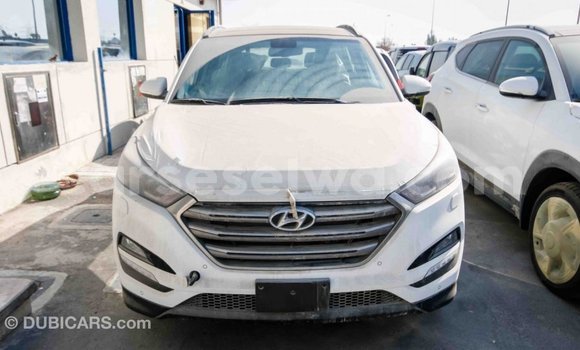 Acheter Import Voiture Hyundai Tucson Blanc à Import - Dubai, East Mahé Acheter Import Voiture Hyundai Tucson Blanc à Import - Dubai, East Mahé