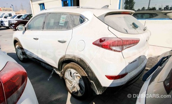 Acheter Import Voiture Hyundai Tucson Blanc à Import - Dubai, East Mahé Acheter Import Voiture Hyundai Tucson Blanc à Import - Dubai, East Mahé