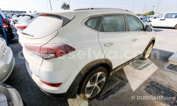 Acheter Import Voiture Hyundai Tucson Blanc à Import - Dubai, East Mahé Acheter Import Voiture Hyundai Tucson Blanc à Import - Dubai, East Mahé