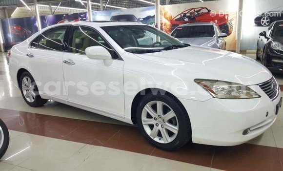 Acheter Import Voiture Lexus ES Blanc à Import - Dubai, East Mahé Acheter Import Voiture Lexus ES Blanc à Import - Dubai, East Mahé