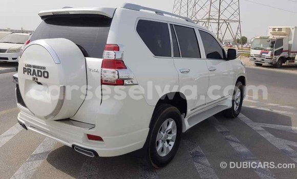 Acheter Import Voiture Toyota Prado Blanc à Import - Dubai, East Mahé Acheter Import Voiture Toyota Prado Blanc à Import - Dubai, East Mahé