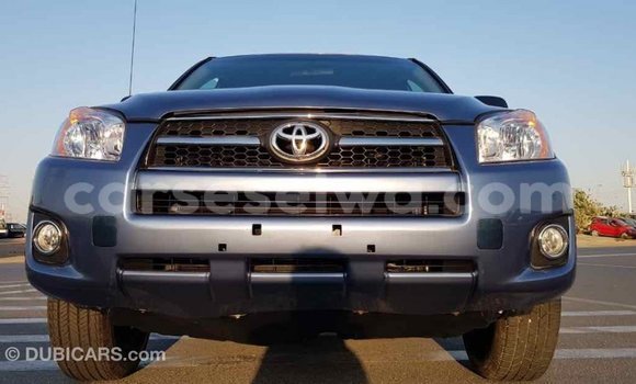 Acheter Import Voiture Toyota RAV4 Bleu à Import - Dubai, East Mahé Acheter Import Voiture Toyota RAV4 Bleu à Import - Dubai, East Mahé