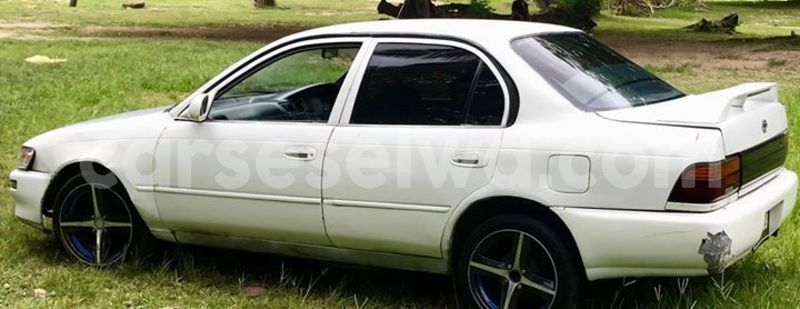 Big with watermark 53533142 2265846717069628 528891459764486144 o