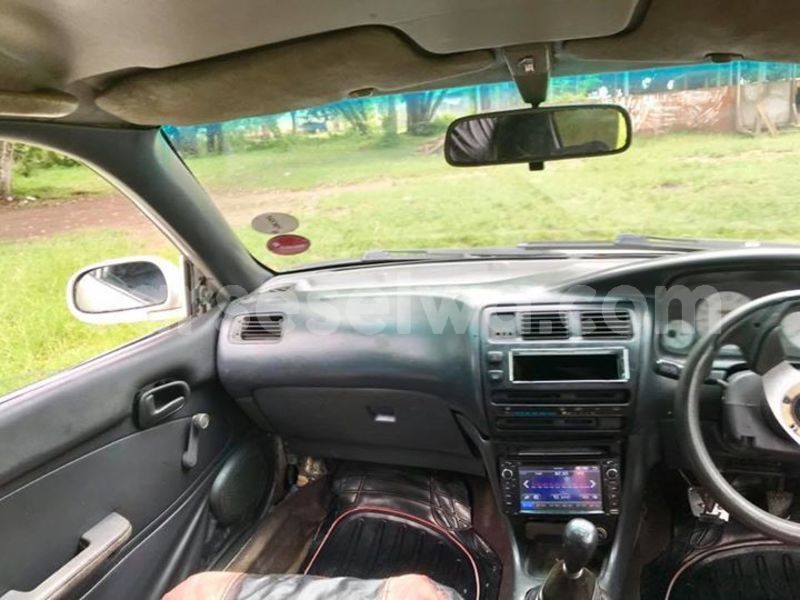 Big with watermark 54155058 2265846810402952 1221936406373335040 n