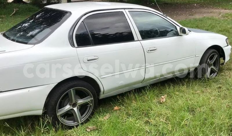 Big with watermark 54263994 2265846747069625 2029606969186189312 n