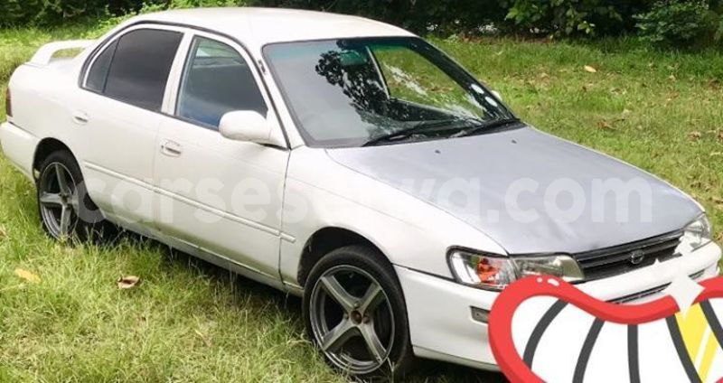 Big with watermark 53453713 2265846697069630 4791922912254754816 n