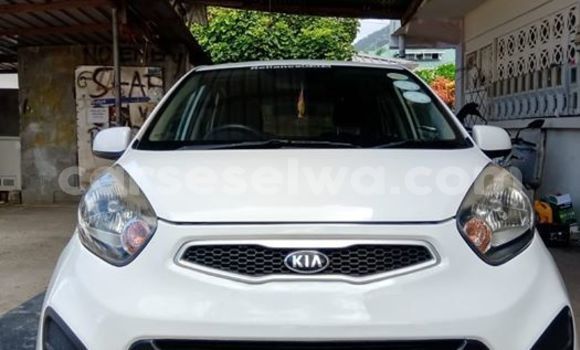 Acheter Occasion Voiture Kia Picanto Blanc à Plaisance, Grand Victoria Acheter Occasion Voiture Kia Picanto Blanc à Plaisance, Grand Victoria