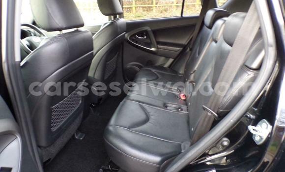 Acheter Occasion Voiture Toyota RAV4 Gris à Anse Volbert, Îles intérieures Acheter Occasion Voiture Toyota RAV4 Gris à Anse Volbert, Îles intérieures