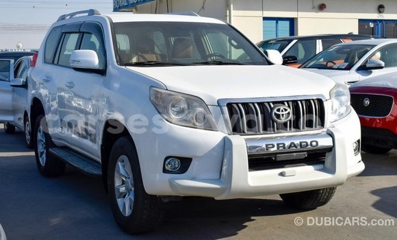 Acheter Import Voiture Toyota Prado Blanc à Import - Dubai, East Mahé Acheter Import Voiture Toyota Prado Blanc à Import - Dubai, East Mahé