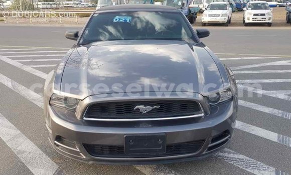 Acheter Import Voiture Ford Mustang Autre à Import - Dubai, East Mahé Acheter Import Voiture Ford Mustang Autre à Import - Dubai, East Mahé