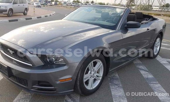 Acheter Import Voiture Ford Mustang Autre à Import - Dubai, East Mahé Acheter Import Voiture Ford Mustang Autre à Import - Dubai, East Mahé