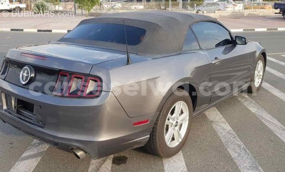 Acheter Import Voiture Ford Mustang Autre à Import - Dubai, East Mahé Acheter Import Voiture Ford Mustang Autre à Import - Dubai, East Mahé