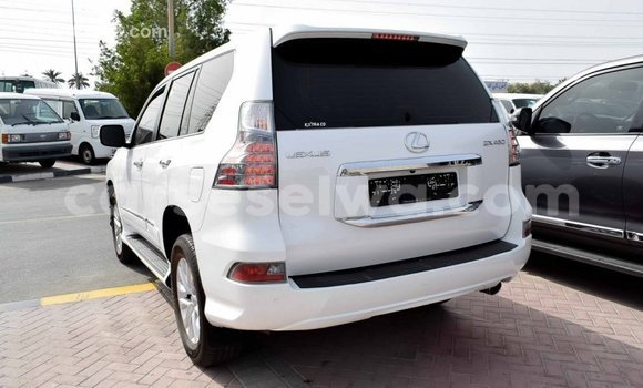 Acheter Import Voiture Lexus GX Blanc à Import - Dubai, East Mahé Acheter Import Voiture Lexus GX Blanc à Import - Dubai, East Mahé