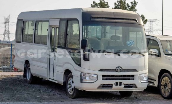 Buy Import Toyota Coaster White Car in Import - Dubai in East Mahé Buy Import Toyota Coaster White Car in Import - Dubai in East Mahé