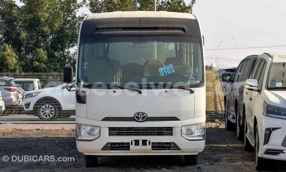 Buy Import Toyota Coaster White Car in Import - Dubai in East Mahé Buy Import Toyota Coaster White Car in Import - Dubai in East Mahé