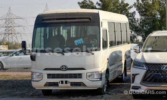 Buy Import Toyota Coaster White Car in Import - Dubai in East Mahé Buy Import Toyota Coaster White Car in Import - Dubai in East Mahé