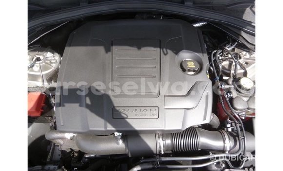 Buy Import Jaguar F-Pace Other Car in Import - Dubai in East Mahé Buy Import Jaguar F-Pace Other Car in Import - Dubai in East Mahé