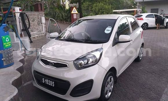 Buy Used Kia Picanto White Car in Beau Vallon in North Mahé Buy Used Kia Picanto White Car in Beau Vallon in North Mahé