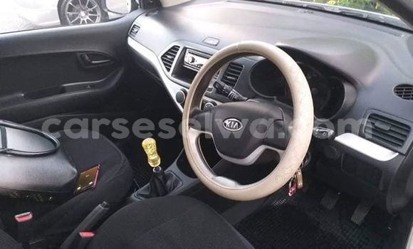 Buy Used Kia Picanto White Car in Beau Vallon in North Mahé Buy Used Kia Picanto White Car in Beau Vallon in North Mahé