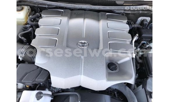 Buy Import Toyota Land Cruiser White Car in Import - Dubai in East Mahé Buy Import Toyota Land Cruiser White Car in Import - Dubai in East Mahé