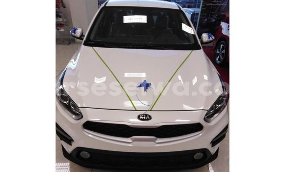Buy Import Kia Cerato White Car in Import - Dubai in East Mahé Buy Import Kia Cerato White Car in Import - Dubai in East Mahé
