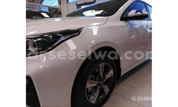 Buy Import Kia Cerato White Car in Import - Dubai in East Mahé Buy Import Kia Cerato White Car in Import - Dubai in East Mahé