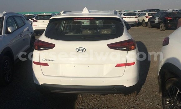 Acheter Import Voiture Hyundai Tucson Blanc à Import - Dubai, East Mahé Acheter Import Voiture Hyundai Tucson Blanc à Import - Dubai, East Mahé