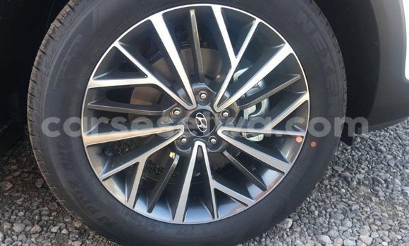 Acheter Import Voiture Hyundai Tucson Blanc à Import - Dubai, East Mahé Acheter Import Voiture Hyundai Tucson Blanc à Import - Dubai, East Mahé