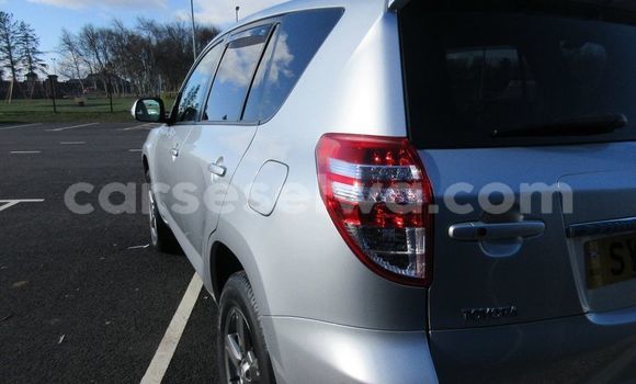 Acheter Occasion Voiture Toyota RAV4 Bleu à bel Air, Grand Victoria Acheter Occasion Voiture Toyota RAV4 Bleu à bel Air, Grand Victoria
