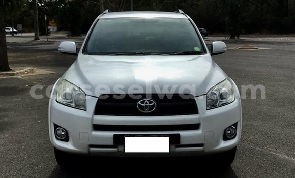 Acheter Occasion Voiture Toyota RAV4 Blanc à Saint Louis, Grand Victoria Acheter Occasion Voiture Toyota RAV4 Blanc à Saint Louis, Grand Victoria