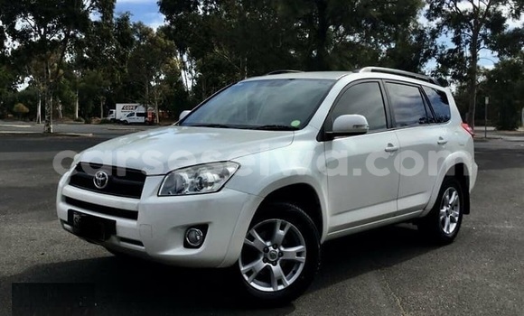 Acheter Occasion Voiture Toyota RAV4 Blanc à Saint Louis, Grand Victoria Acheter Occasion Voiture Toyota RAV4 Blanc à Saint Louis, Grand Victoria