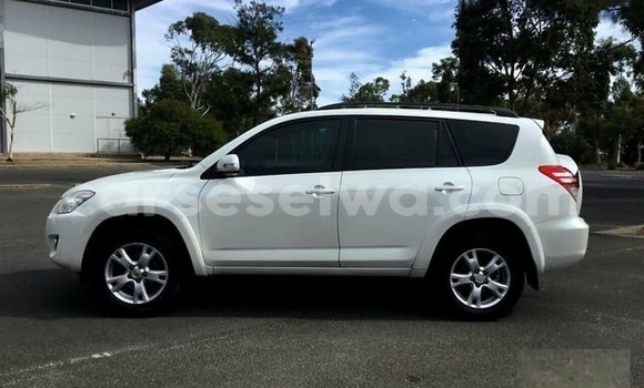 Acheter Occasion Voiture Toyota RAV4 Blanc à Saint Louis, Grand Victoria Acheter Occasion Voiture Toyota RAV4 Blanc à Saint Louis, Grand Victoria