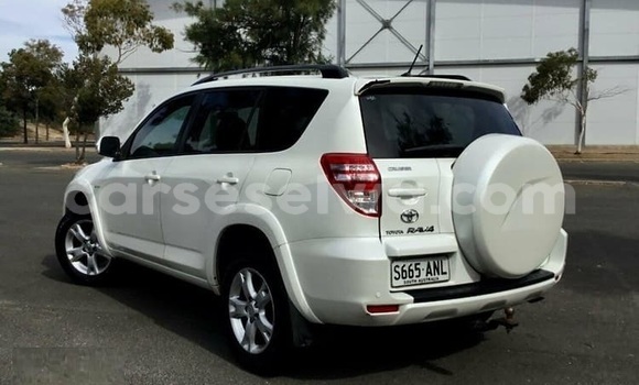 Acheter Occasion Voiture Toyota RAV4 Blanc à Saint Louis, Grand Victoria Acheter Occasion Voiture Toyota RAV4 Blanc à Saint Louis, Grand Victoria