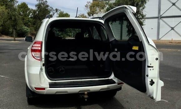 Acheter Occasion Voiture Toyota RAV4 Blanc à Saint Louis, Grand Victoria Acheter Occasion Voiture Toyota RAV4 Blanc à Saint Louis, Grand Victoria