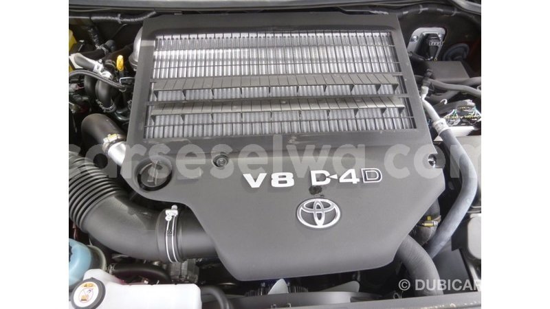 Big with watermark 65ba96ca 9cfe 4b99 b1c8 b7c0f94bd2b8