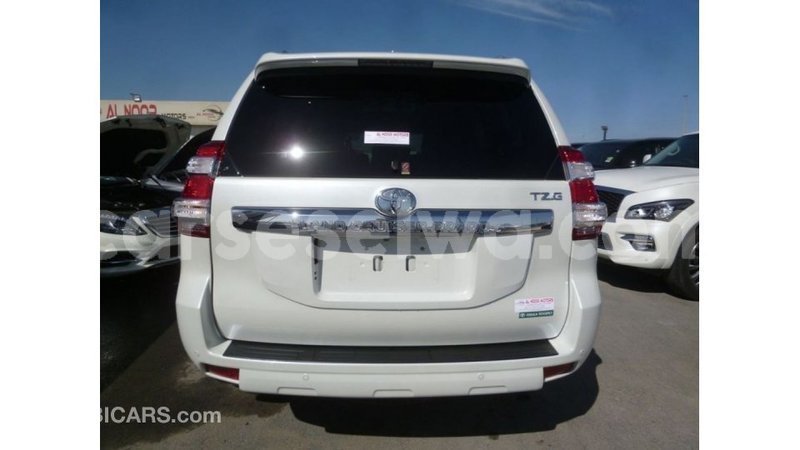 Big with watermark 0e93c84c 0949 4244 bc5a 12dbc8484f8e