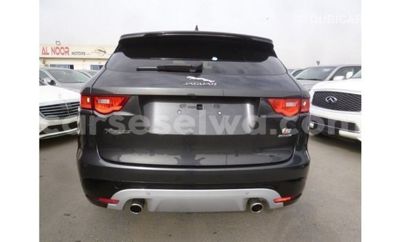 Buy Import Jaguar F-Type Black Car in Import - Dubai in East Mahé Buy Import Jaguar F-Type Black Car in Import - Dubai in East Mahé