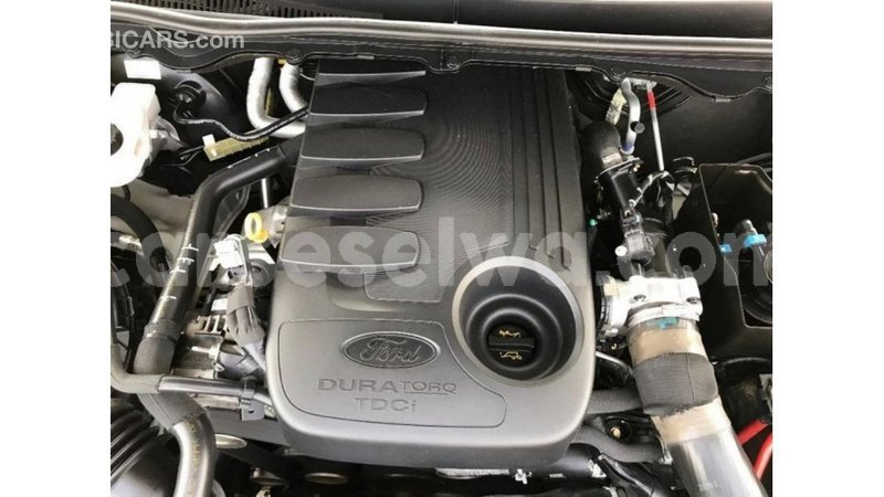 Big with watermark 5b3bc95f d171 4dc6 8d49 95e2e20b1bc1