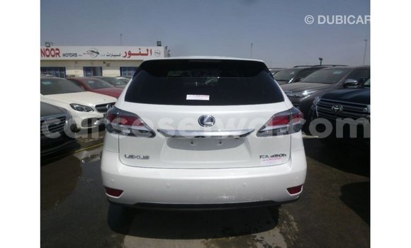 Buy Import Lexus RX White Car in Import - Dubai in East Mahé Buy Import Lexus RX White Car in Import - Dubai in East Mahé