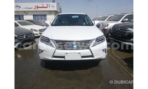 Buy Import Lexus RX White Car in Import - Dubai in East Mahé Buy Import Lexus RX White Car in Import - Dubai in East Mahé