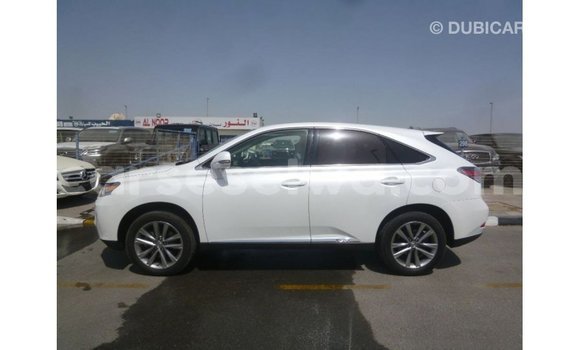 Buy Import Lexus RX White Car in Import - Dubai in East Mahé Buy Import Lexus RX White Car in Import - Dubai in East Mahé